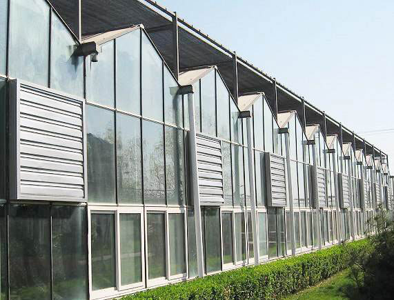 重慶溫室大棚