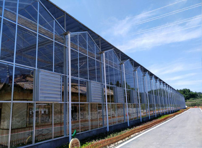 文洛型玻璃溫室