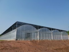 連棟棚溫室